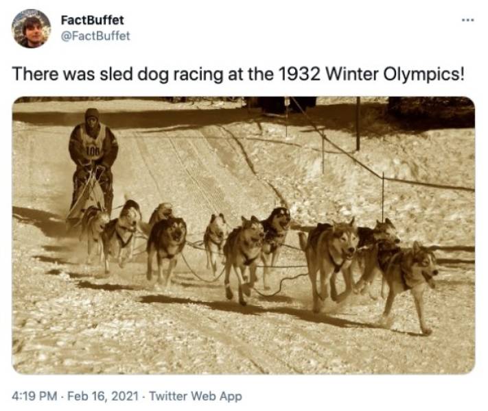 Dog sled - FactBuffet There was sled dog racing at the 1932 Winter Olympics! 100 . Twitter Web App