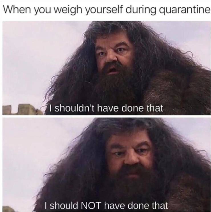 volleyball players volleyball memes - When you weigh yourself during quarantine I shouldn't have done that I should Not have done that