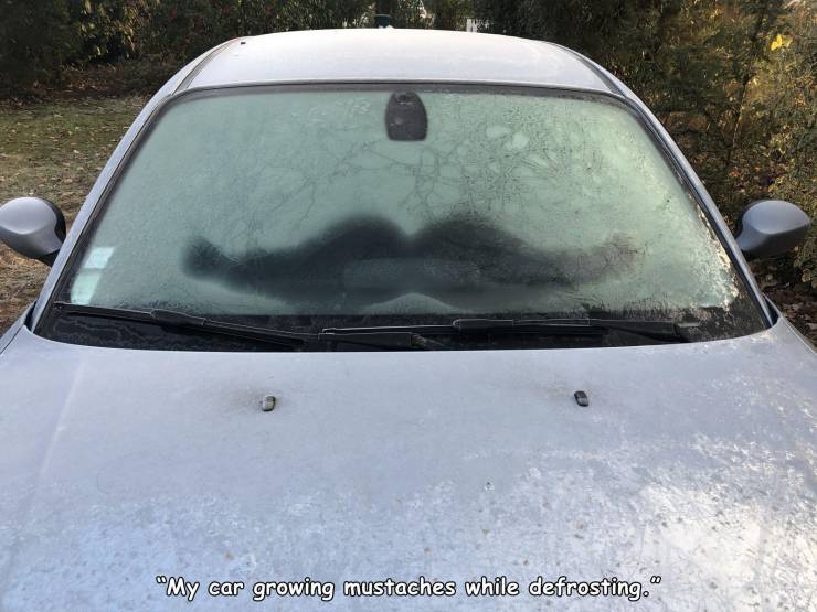 awesome pics - windshield - "My car growing mustaches while defrosting."