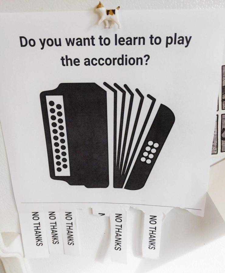 awesome pics - free reed aerophone - Do you want to learn to play the accordion? Torty