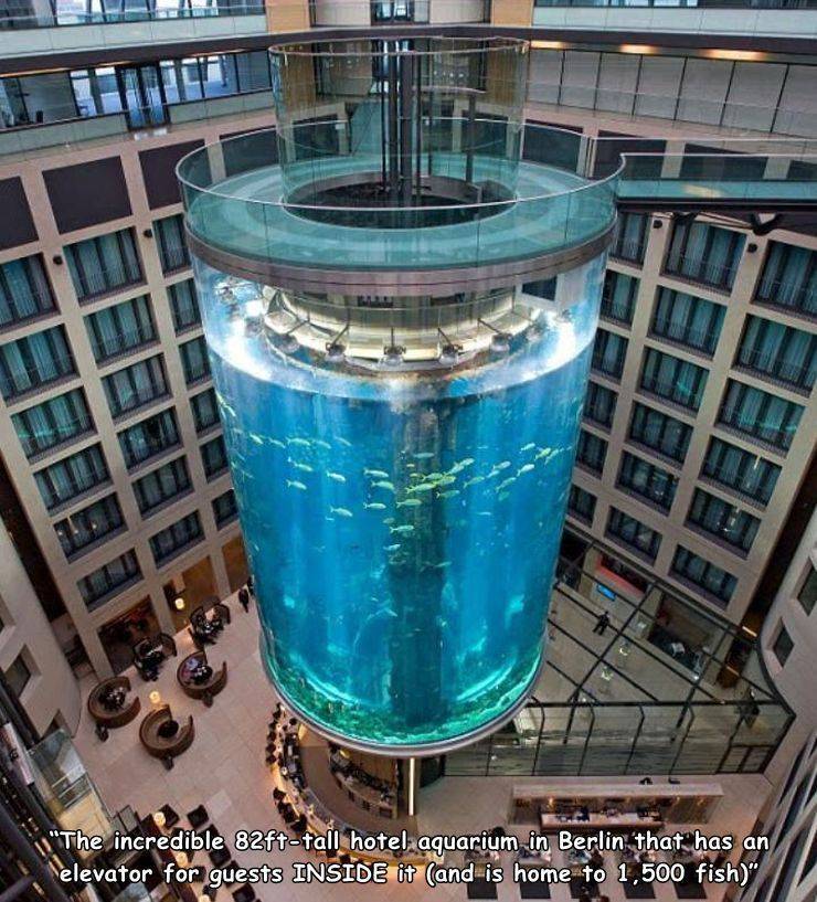 aquadom & sea life berlin - "The incredible 82fttall hotel aquarium in Berlin that has an elevator for guests Inside it and is home to 1,500 fish"