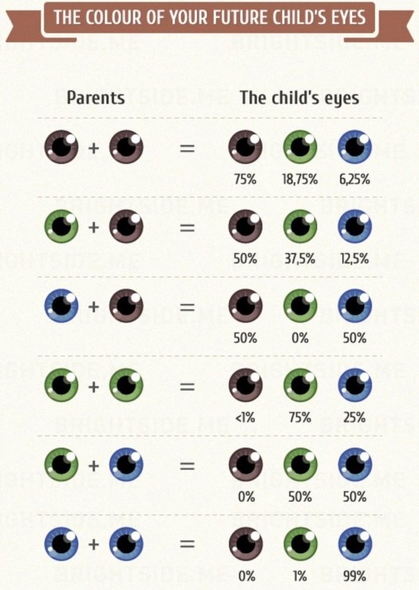 would my kids look like - The Colour Of Your Future Child'S Eyes Parents The child's eyes 75% 18,75% 6,25% Ii 50% 37,5% 12,5% 50% 0% 50%