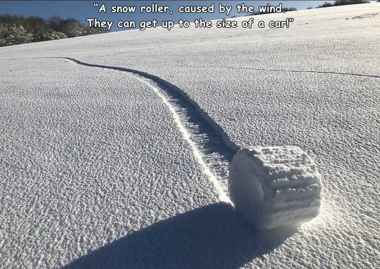 "A snow roller, caused by the wind. They can get up to the size of a carlo