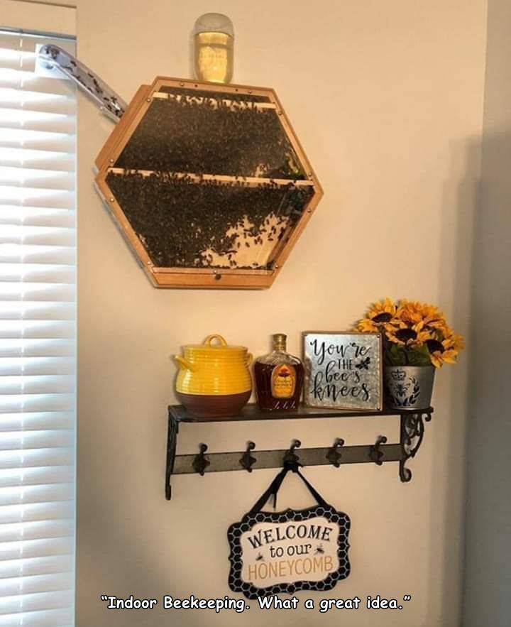 indoor beehive - You're knees The 1. Welcome Honeycomb to our "Indoor Beekeeping. What a great idea."