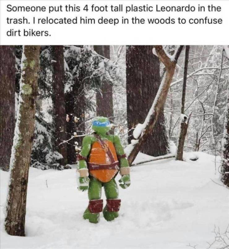 snow - Someone put this 4 foot tall plastic Leonardo in the trash. I relocated him deep in the woods to confuse dirt bikers.