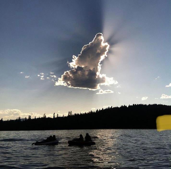 dog shaped cloud