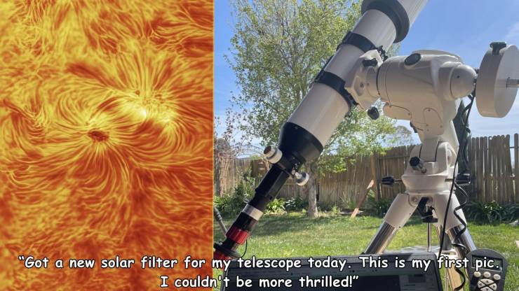 tree - "Got a new solar filter for my telescope today. This is my first pic. I couldn't be more thrilled!"
