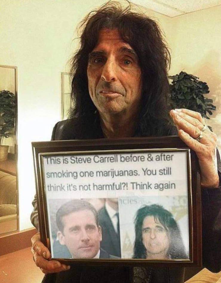 alice cooper steve carrell - This is Steve Carrell before & after smoking one marijuanas. You still think it's not harmful?! Think again Hicles