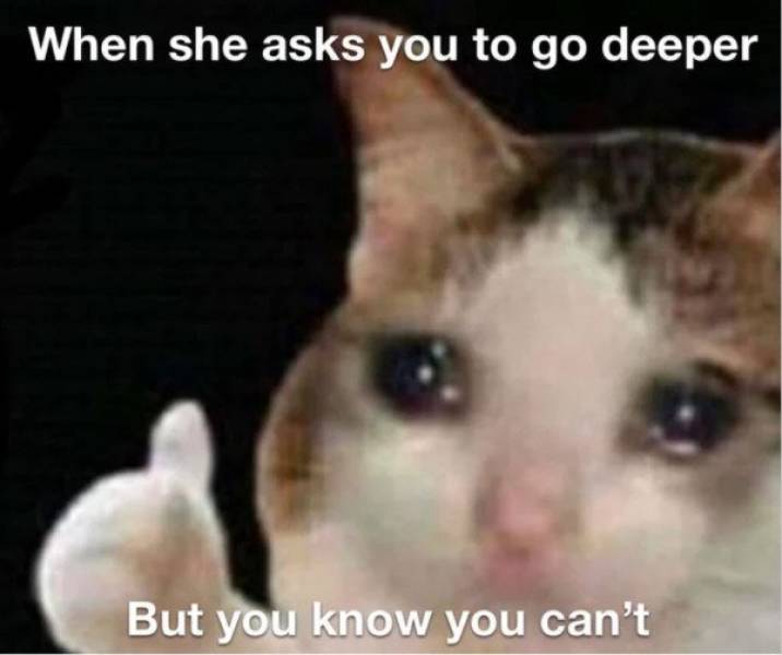 sad cat thumbs up - When she asks you to go deeper But you know you can't