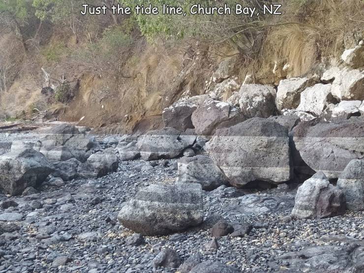 cool pics - outcrop - Just the tide line, Church Bay, Nz