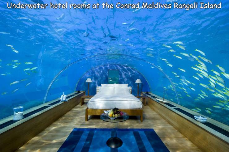 cool pics - exotic hotels - Underwater hotel rooms at the Conrad Maldives Rangali Island