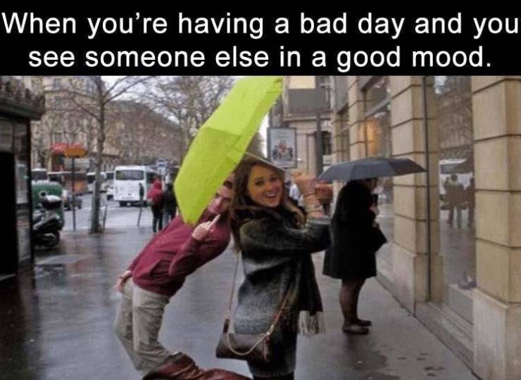 cool pics - someone having a bad day - When you're having a bad day and you see someone else in a good mood.