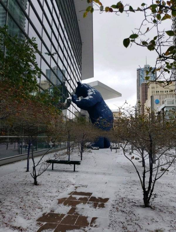 Denver, Colorado

 

A 40-foot bear statue peeking into a building