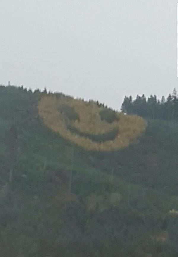 Oregon

 

A mountainside smiley face made from flowers