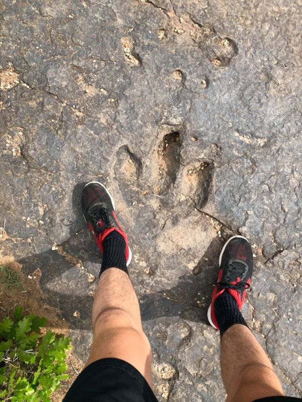 Utah

 

Fossilized dino footprints