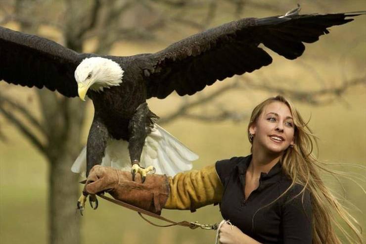 holding an eagle
