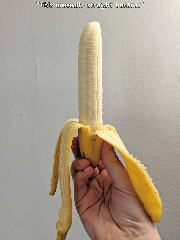 banana - "This unusually straight banana."
