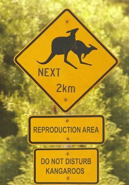 funny road signs - Next 2km Reproduction Area Do Not Disturb Kangaroos