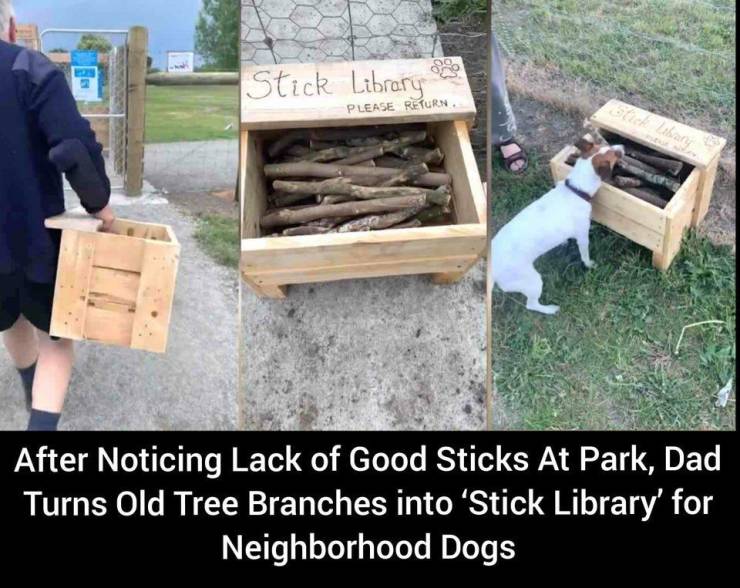 random pics and cool stuff - wood - Stick Library Please Return Berubar After Noticing Lack of Good Sticks At Park, Dad Turns Old Tree Branches into 'Stick Library' for Neighborhood Dogs