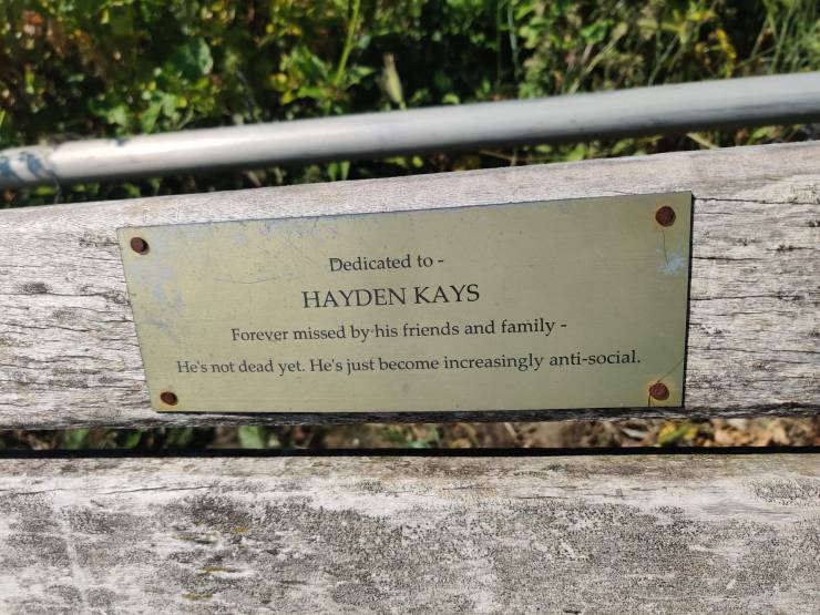 commemorative plaque - Dedicated to Hayden Kays Forever missed by his friends and family He's not dead yet. He's just become increasingly antisocial.