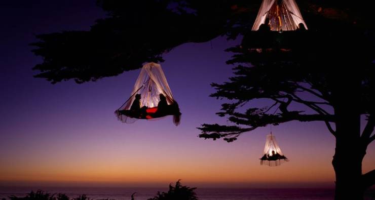 camping on tree