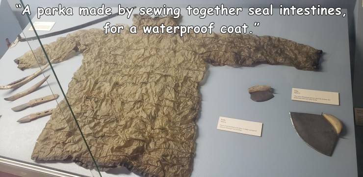 fur - "A parka made by sewing together seal intestines, for a waterproof coat."