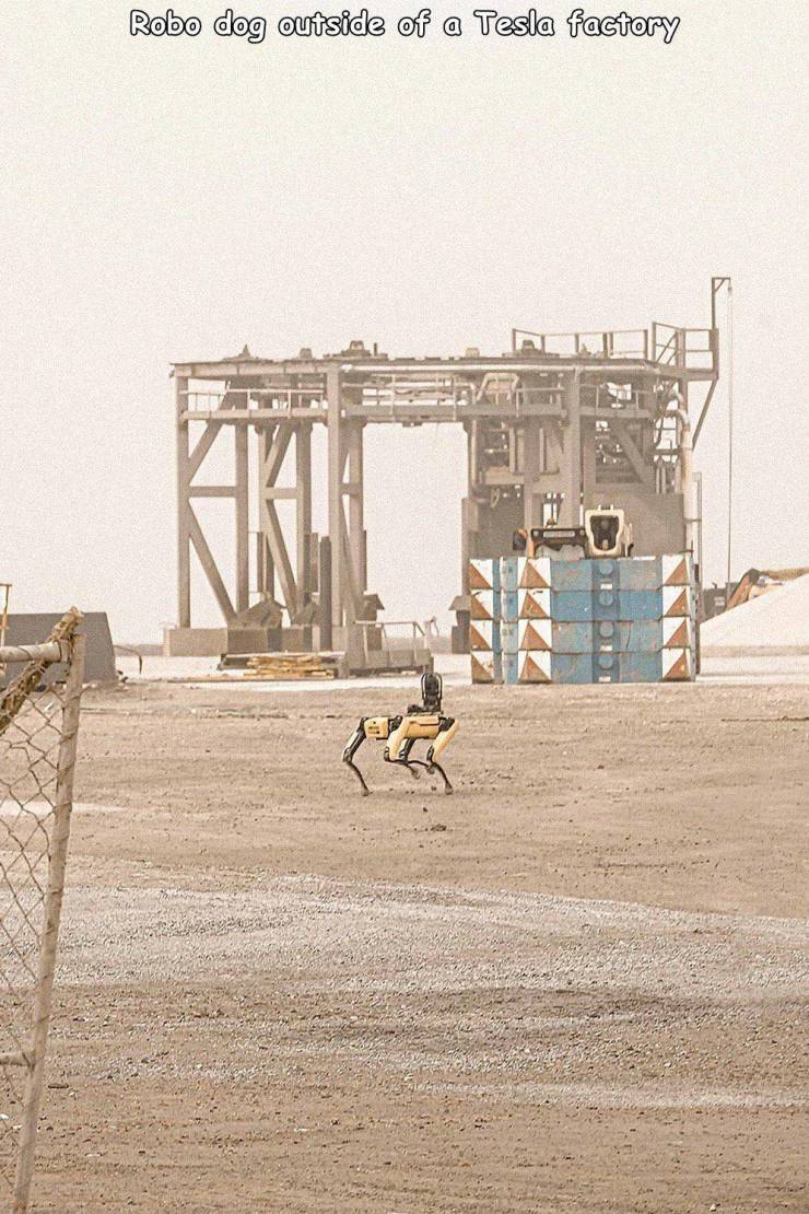 dogs patrolling space x - Robo dog outside of a Tesla factory Aka