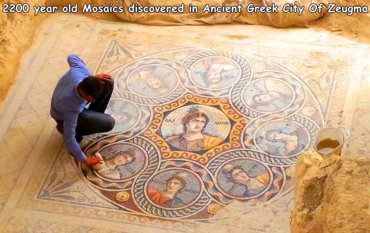 awesome random pics and photos - 2200 year old Mosaics discovered in Ancient Greek City Of Zeugma Ra We seper Wenn