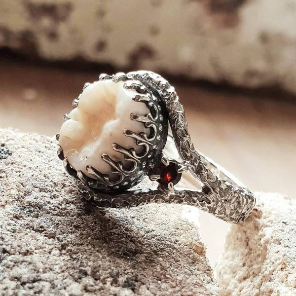 awesome pics to enjoy - jewellery made from teeth -