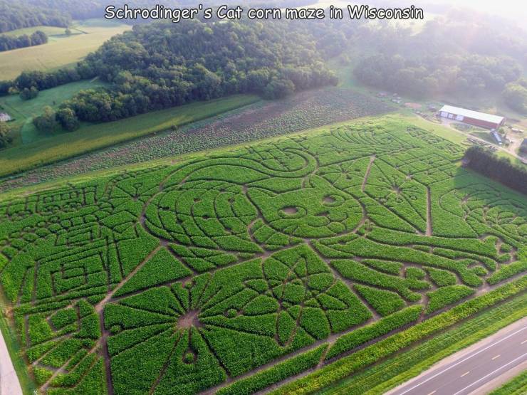 maze - Schrodinger's Cat corn maze in Wisconsin is