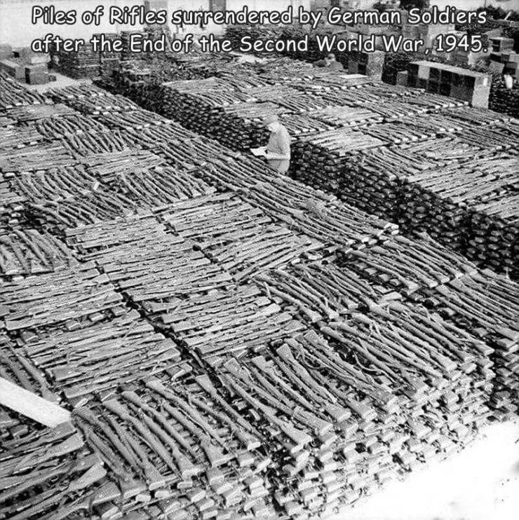 german weapons surrender - Piles of Rifles surrendered by German Soldiers after the End of the Second World War, 1945. Tuste