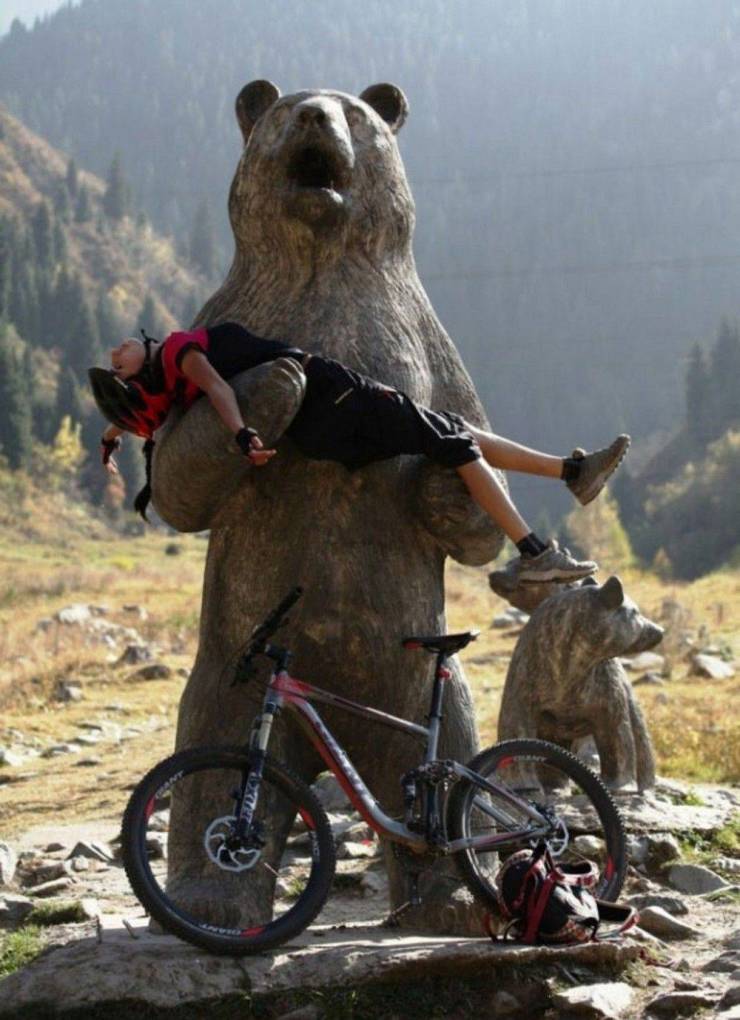funny statue bear