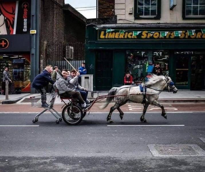 monday morning randomness - limerick city horse - Game Stop Limerickson Seter V