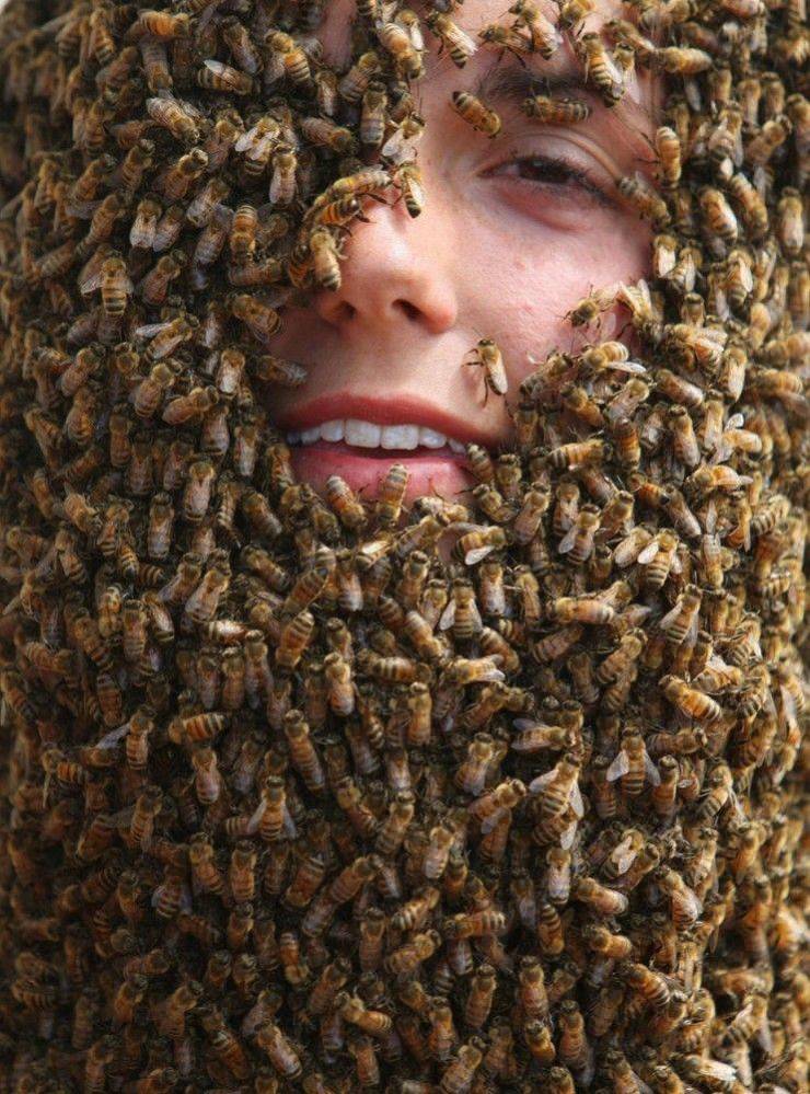 monday morning randomness - bees on face