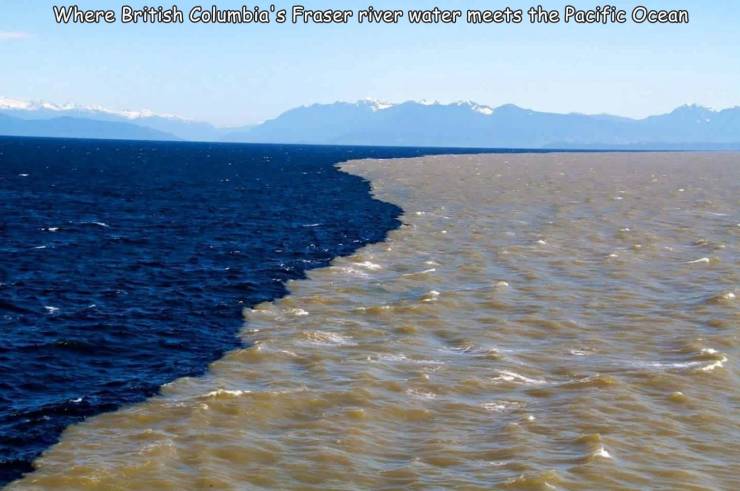 salt water meets fresh water - Where British Columbia's Fraser river water meets the Pacific Ocean