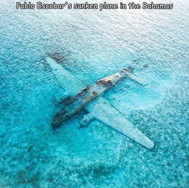 pablo escobar plane - Pablo Escobar's sunken plane in the Bahamas