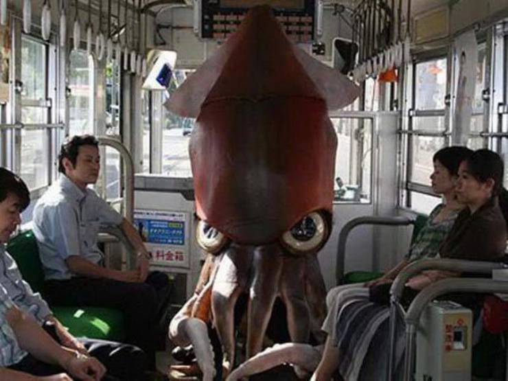 funny pics  -  movie squid -