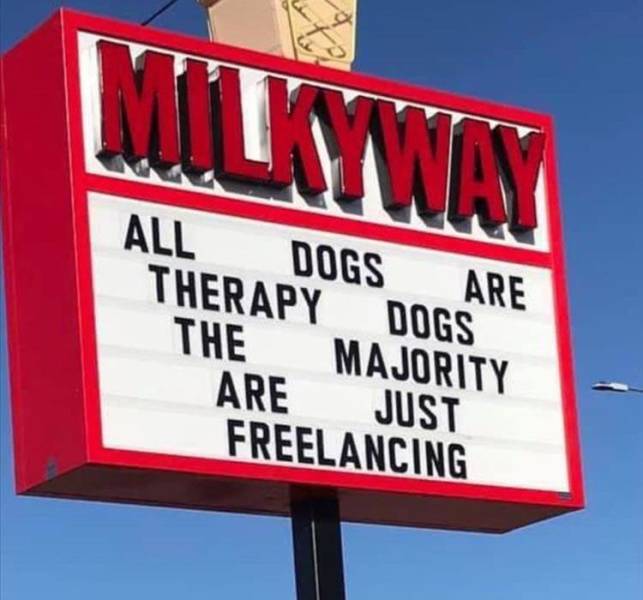 funny pics  -  billboard - Milkynn All Dogs Are Therapy Dogs The Majority Are Just Freelancing