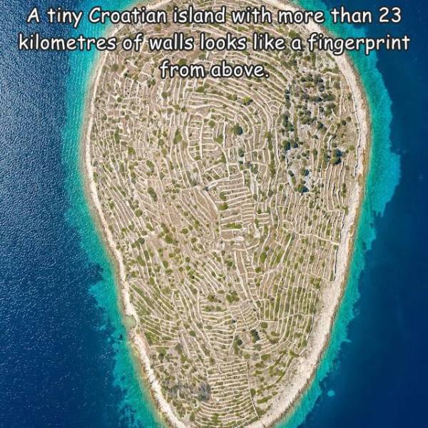funny pics and random photos - croatia fingerprint island - A tiny Croatian island with more than 23 kilometres of walls looks a fingerprint from above.