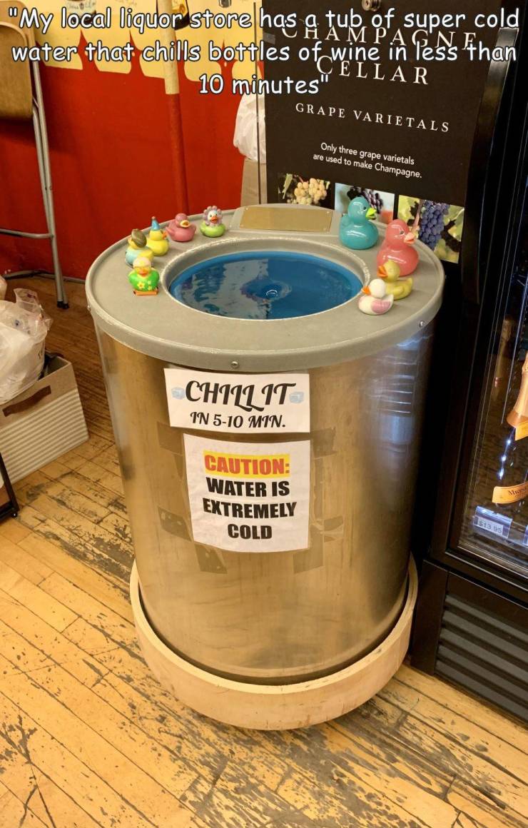 funny pics and random photos - "My local liquor store has a tub of super cold water that chills bottles of wine in 10 minutes" Mpa Pesis Ahan Cellar Grape Varietals Only three grape varietals are used to make Champagne. Chillit In 510 Min. Caution Water I