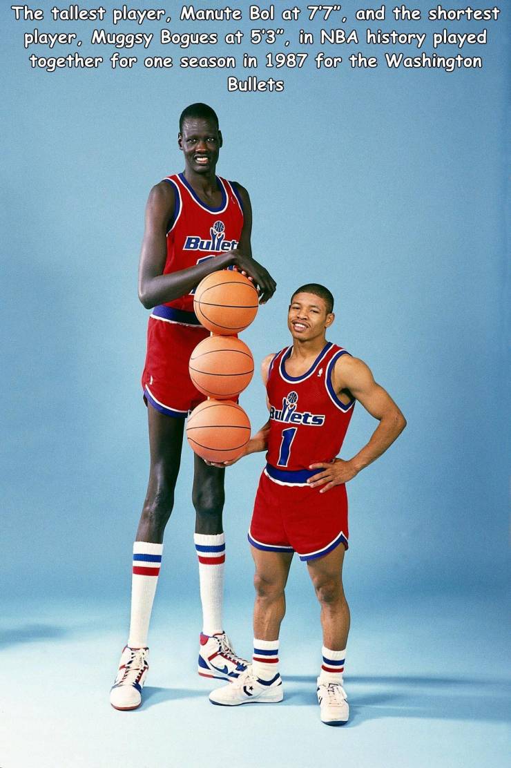 manute bol muggsy bogues - The tallest player, Manute Bol at 7'7", and the shortest player, Muggsy Bogues at 53", in Nba history played together for one season in 1987 for the Washington Bullets Bullet Bilets 1 7