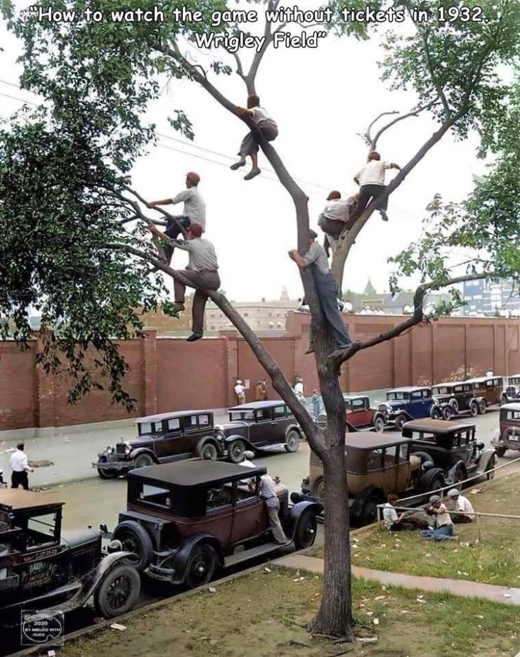 boys in trees wrigley - How to watch the game without tickets in 1932. Wrigley Fieldo V. Ce Yo 2020 M