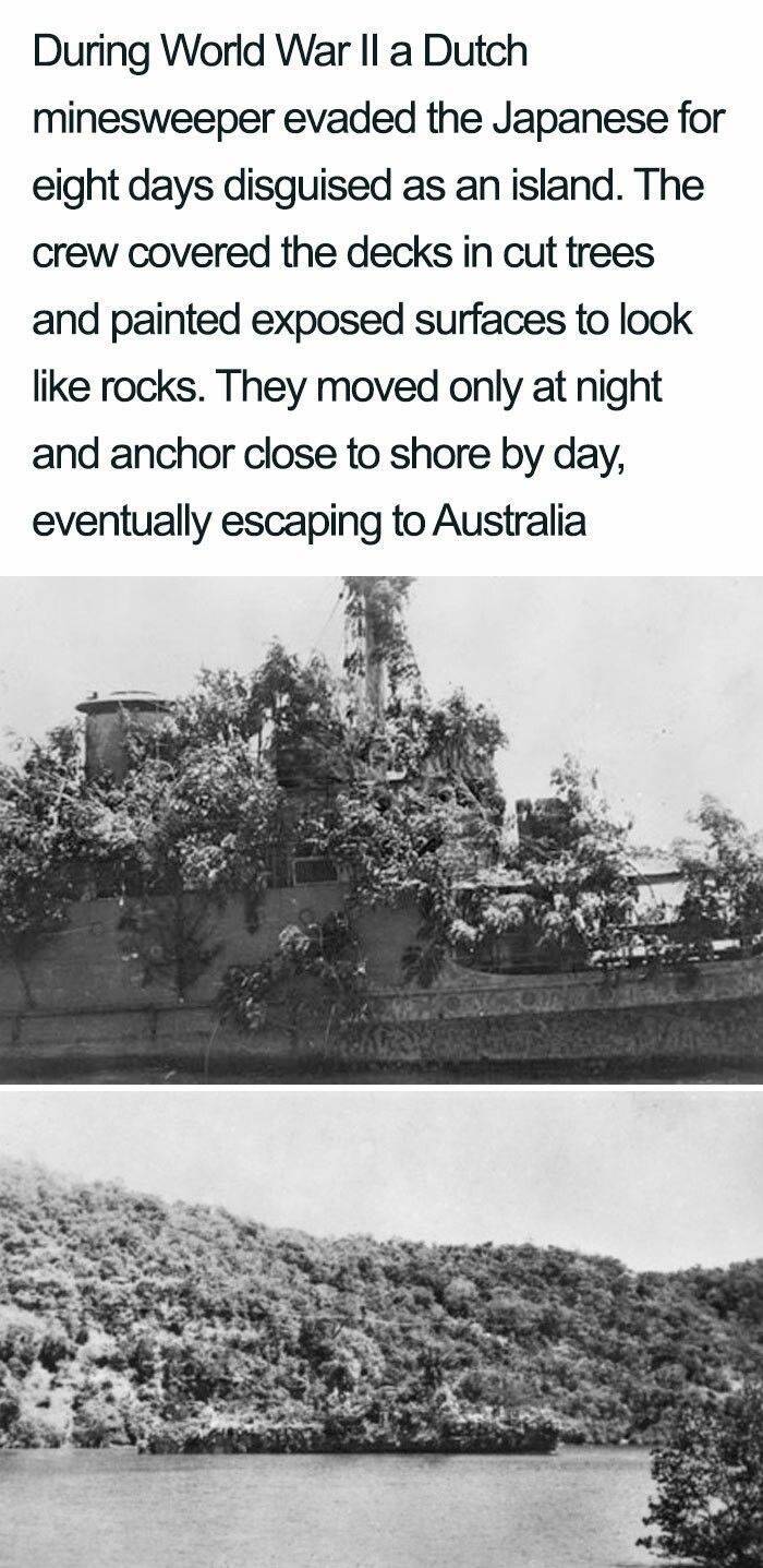 water resources - During World War Ii a Dutch minesweeper evaded the Japanese for eight days disguised as an island. The crew covered the decks in cut trees and painted exposed surfaces to look rocks. They moved only at night and anchor close to shore by 