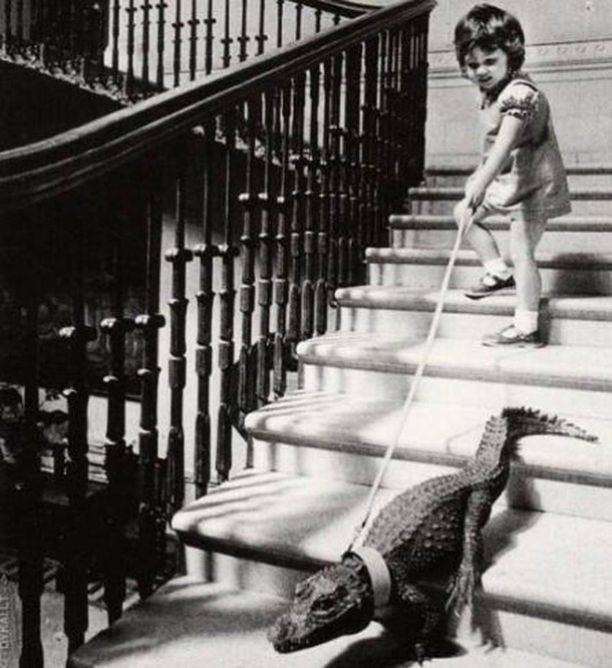 little girl alligator