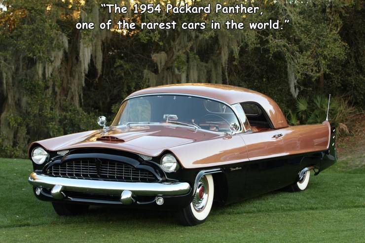 Packard Panther - "The 1954 Packard Panther, one of the rarest cars in the world."