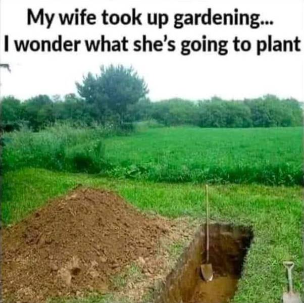 my wife took up gardening - My wife took up gardening... I wonder what she's going to plant