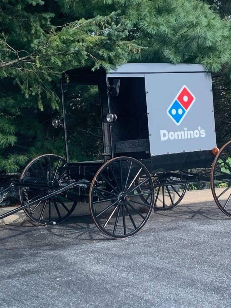 horse and buggy - O Domino's