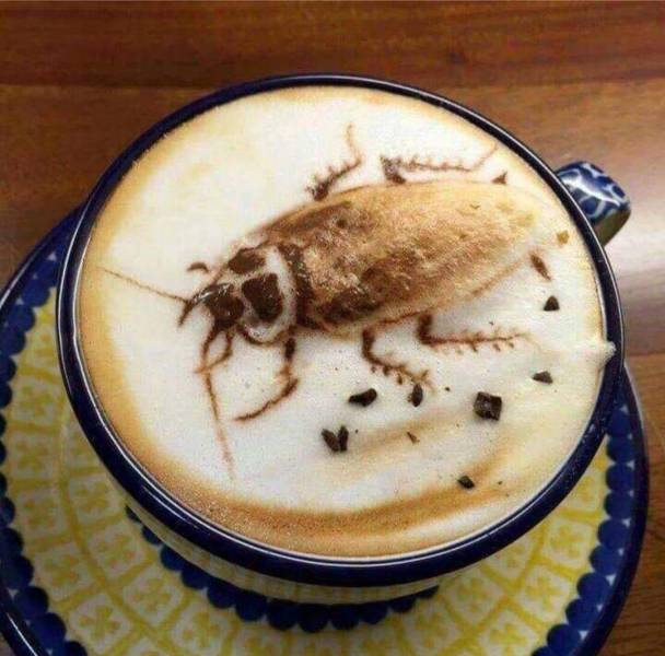 cockroach coffee - 22