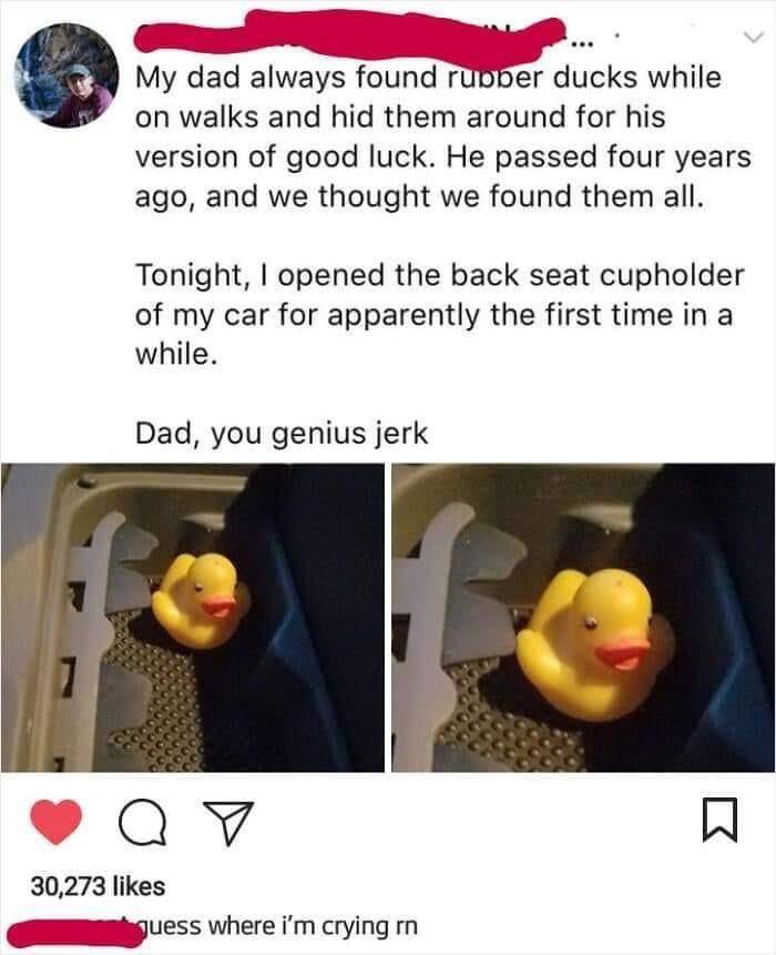photo caption - My dad always found rubber ducks while on walks and hid them around for his version of good luck. He passed four years ago, and we thought we found them all. Tonight, I opened the back seat cupholder of my car for apparently the first time