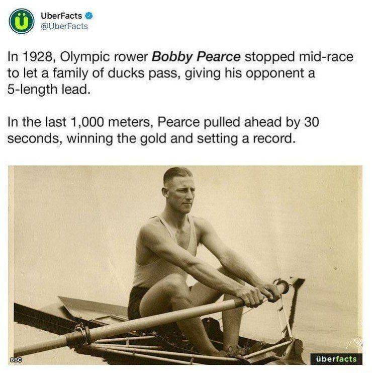 random funny and wtf pics - Bobby Pearce - UberFacts In 1928, Olympic rower Bobby Pearce stopped midrace to let a family of ducks pass, giving his opponent a 5length lead. In the last 1,000 meters, Pearce pulled ahead by 30 seconds, winning the gold and s